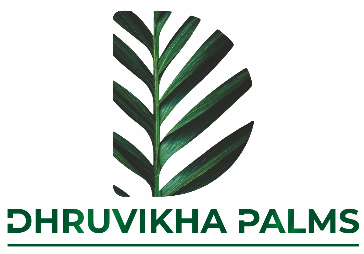 Dhruvikha Palms logo — HKB Ventures